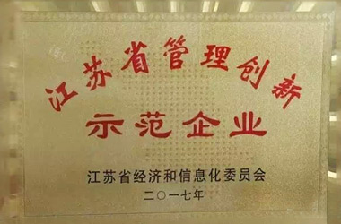 2017年，堂皇集團(tuán)榮獲“江蘇省管理創(chuàng)新示范企業(yè)”